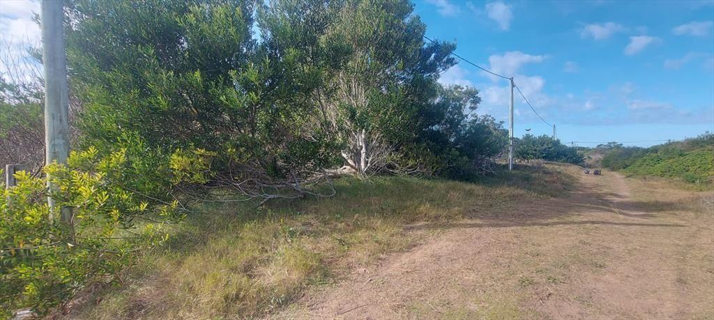 Terreno en Punta Rubia, Naturaleza, playa y futuro