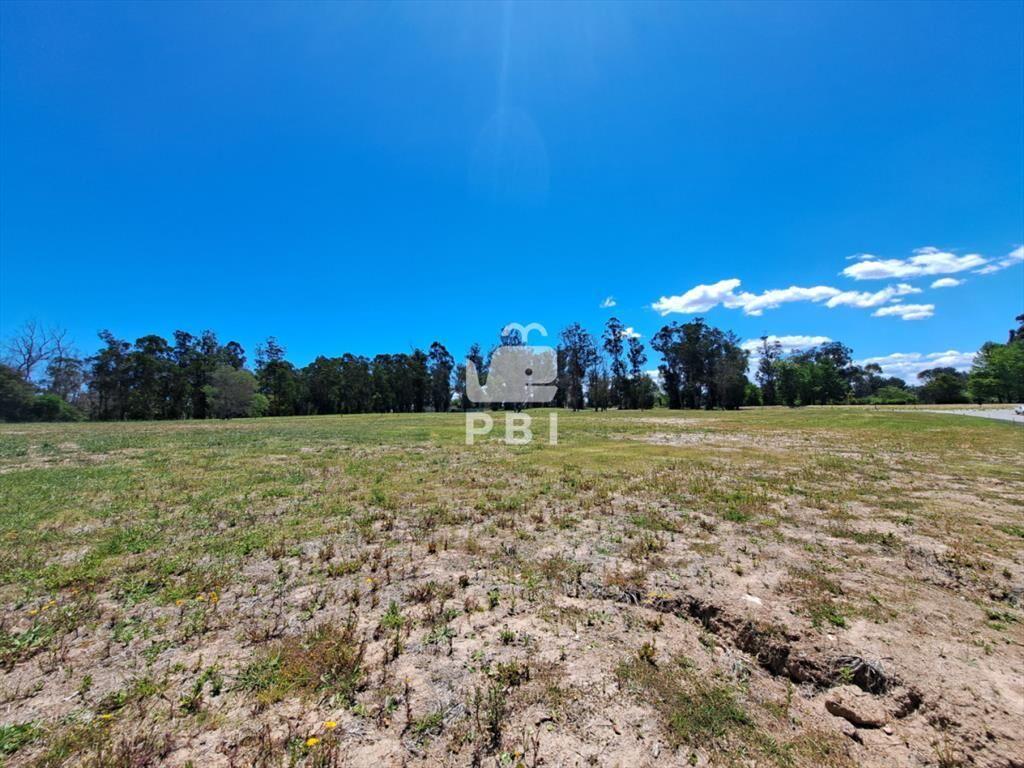 Invertí en Punta del Este: lote de 700m en -