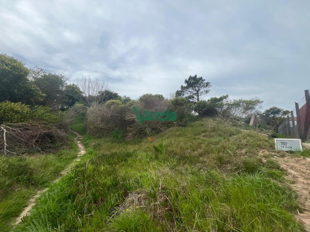 Terreno en venta en el Caribe Oriental (vista al mar)