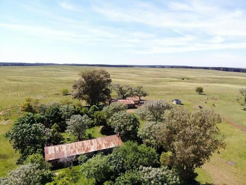VENTA DE CAMPO GANADERO – 694 HAS. EN RIO NEGRO