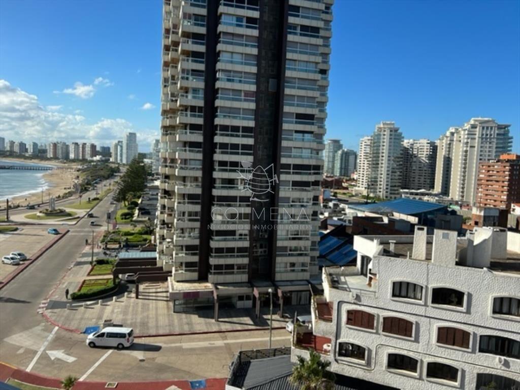 Hermoso apartamento 1 dormitorio con VISTA!