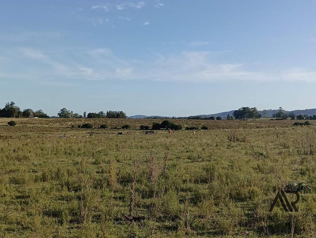 Venta Muy Buen Campo De 78 Hectáreas, Zona Muy Accesible...