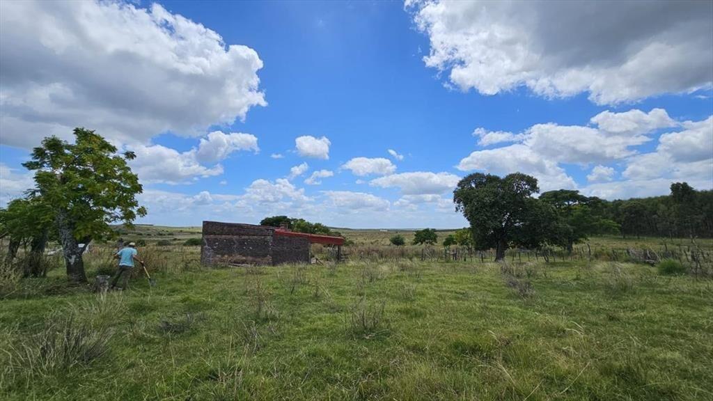 CAMPO EN VENTA- 948 HECTAREAS 6430m2