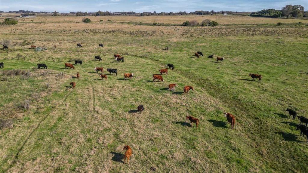 Venta chacra en Sosa Díaz, Canelones - 4,75ha