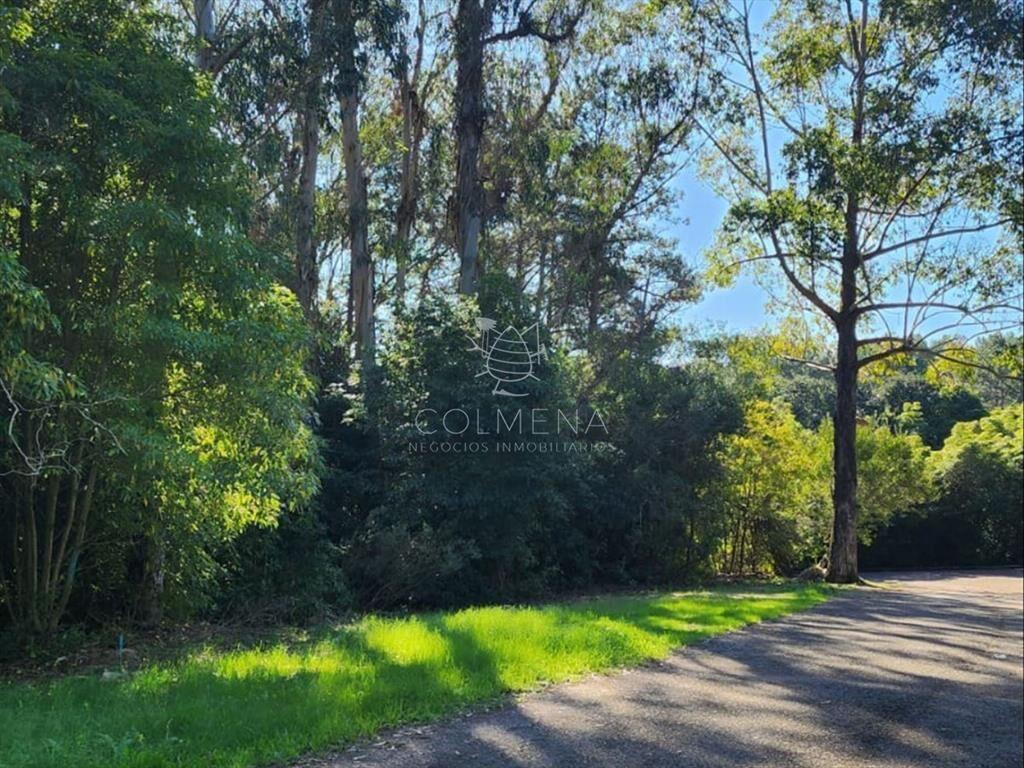 Terreno de 4226 m2, en Las Cumbres- Punta