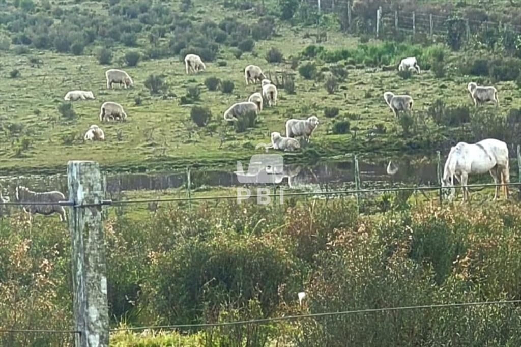 Chacra en venta en Sierra de los Caracoles, - Ref