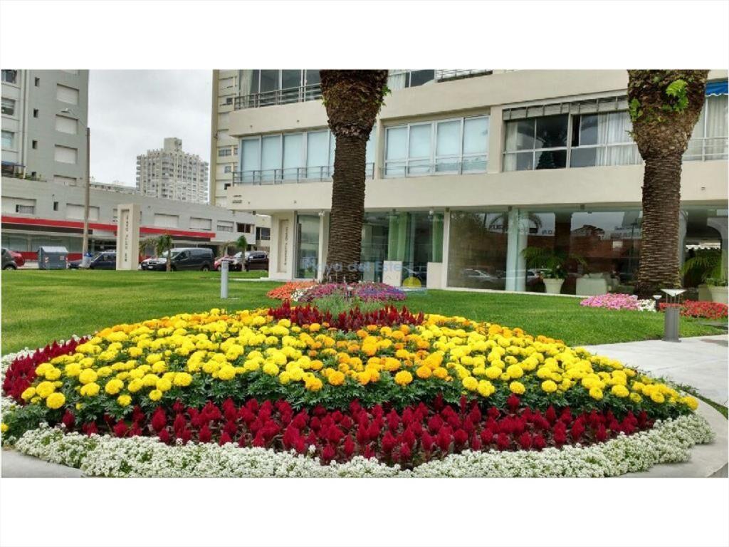 Apartamento en Alquiler de 2 dormitorios en la ,
