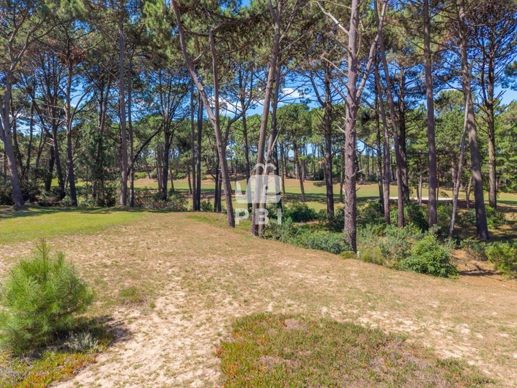 Terreno en venta en Club Del Lago, Punta Ballena