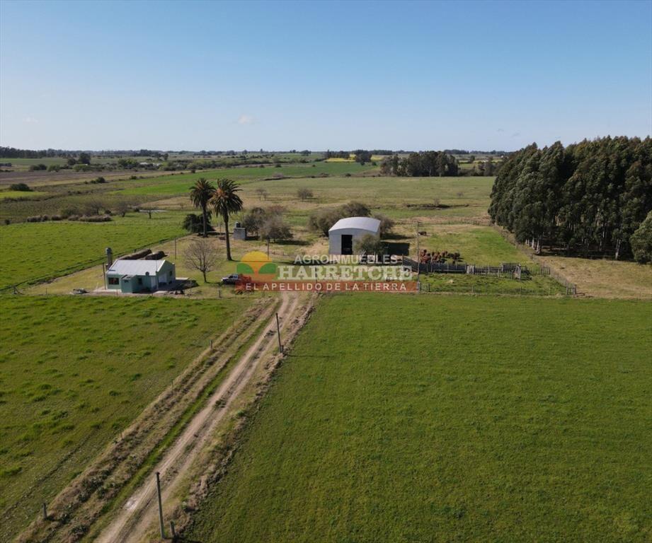 Campo en venta 18 has Canelones, con todas las