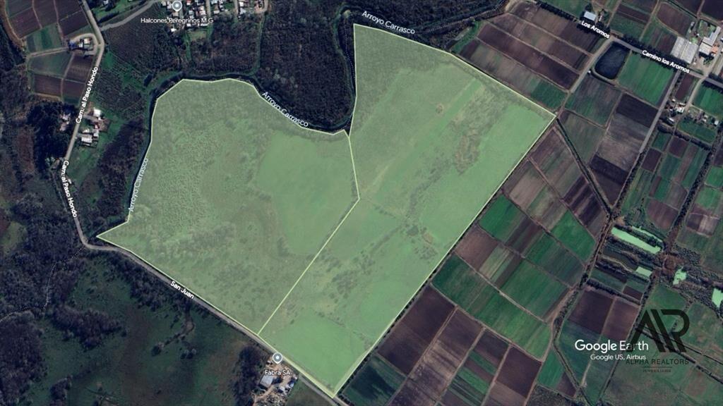 Terreno en venta de 43 hectáreas ubicado en Camino San J...