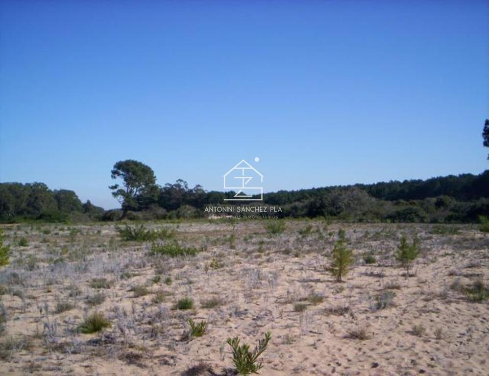 Terreno en Punta Ballena, Chihuahua