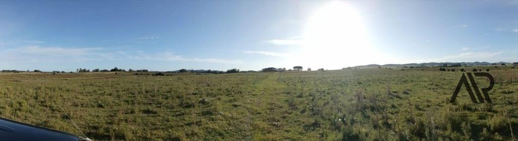 Venta Muy Buen Campo De 78 Hectáreas, Zona Muy Accesible...