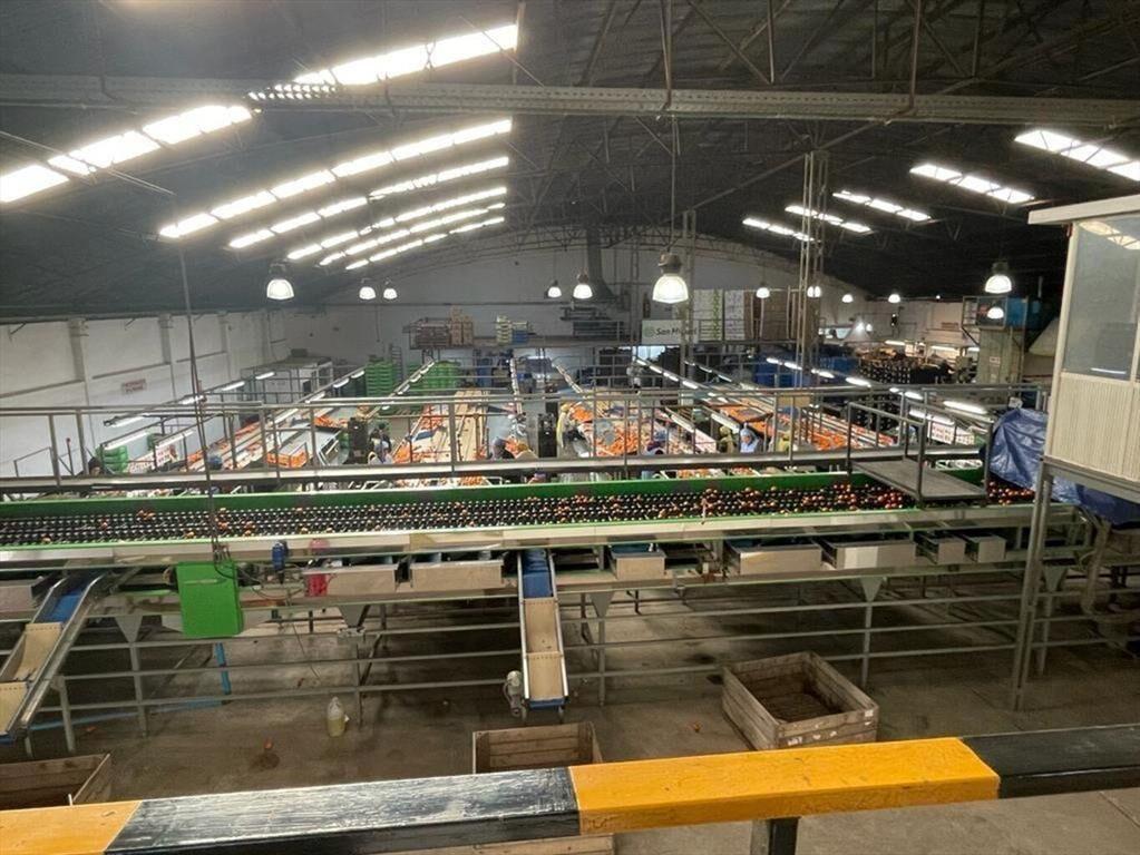 Planta Logística en Rio Negro