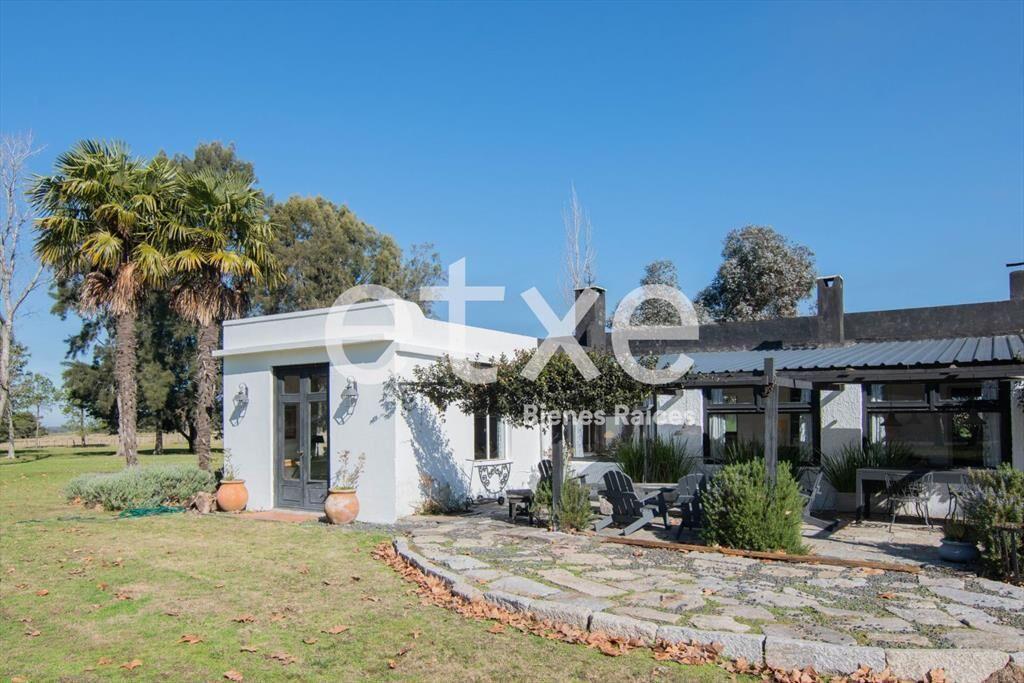 Campo Venta 382 Has Ruta 11 Canelones IDEAL FRACCIONAMIEN...