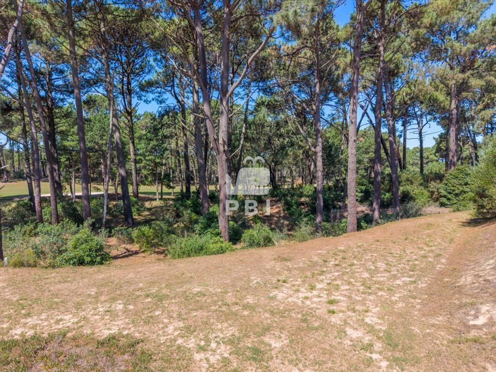 Terreno en venta en Club Del Lago, Punta Ballena