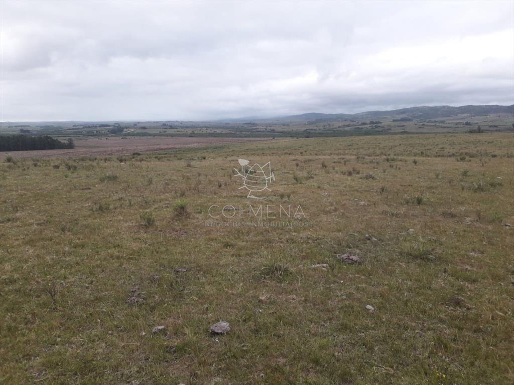 Campo de 47 has en Paraje los Caracoles - !!!!!