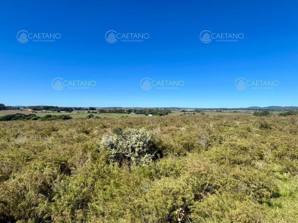 CHACRA EN VENTA LA PATAIA 10 HECTAREAS