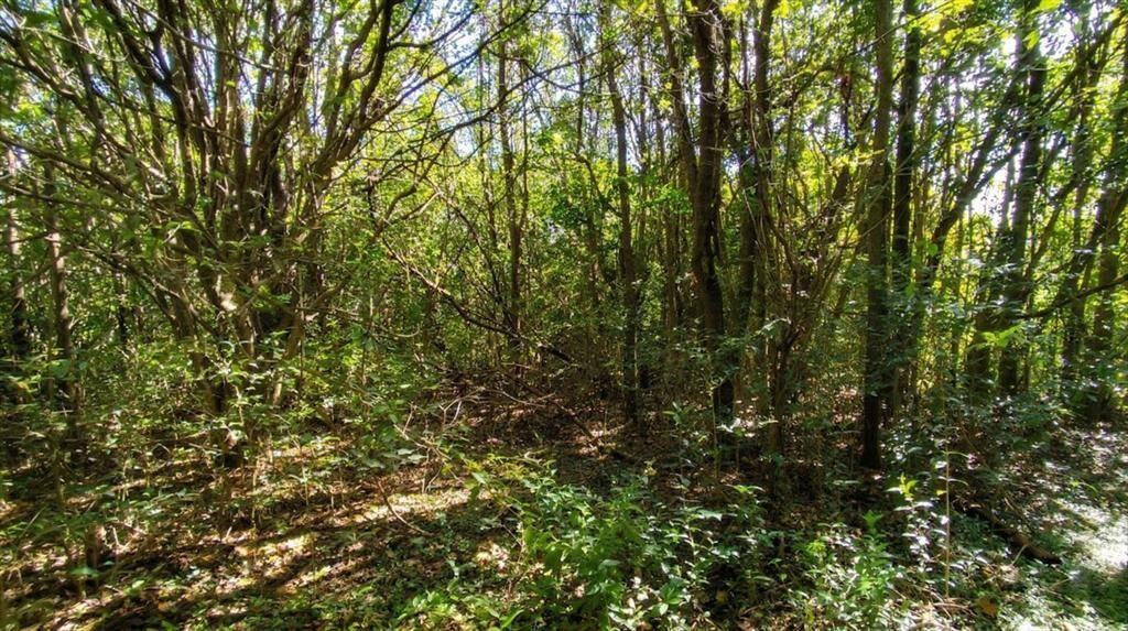 Lote de Terrenos de 6457m2 en Venta Radial Rosario
