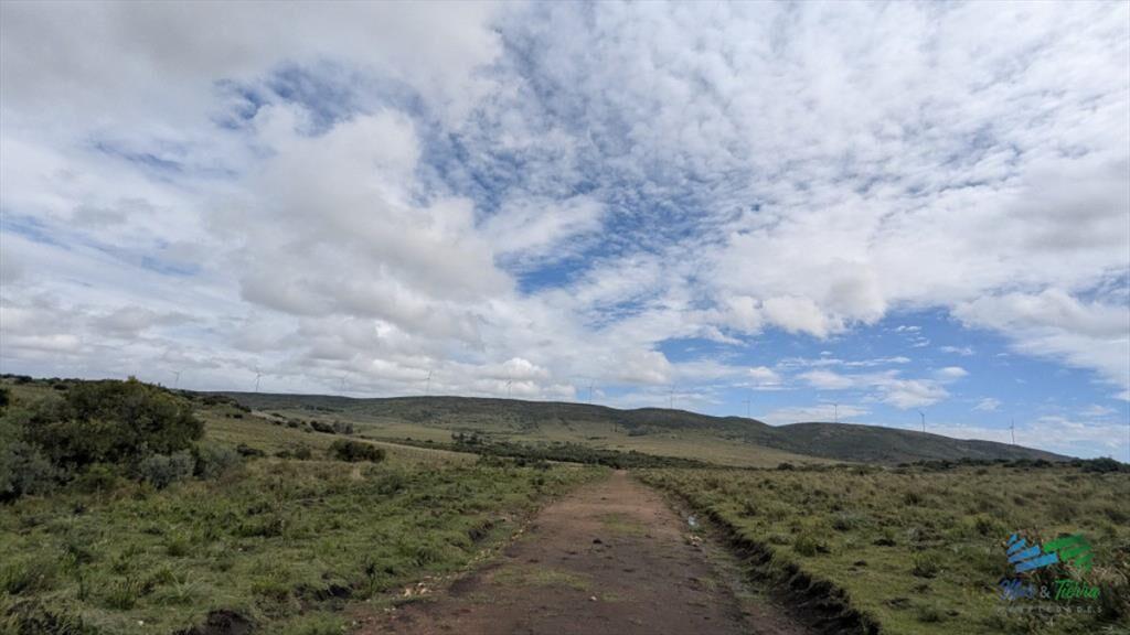 Venta en Sierra de los Caracoles 3 has Ruta 39