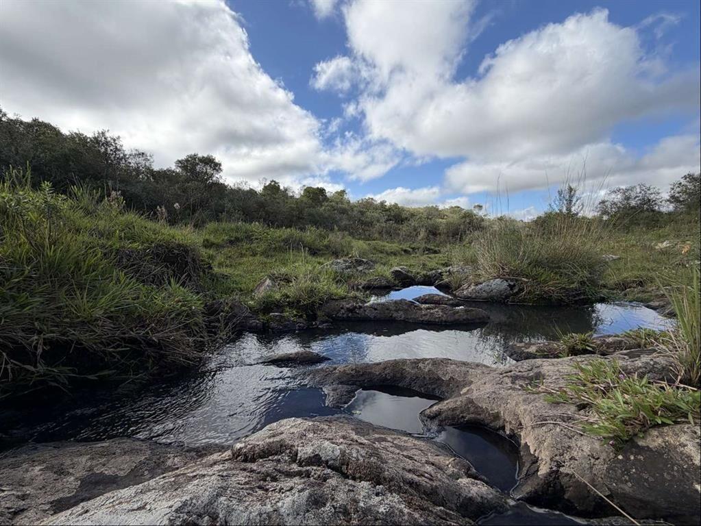 Campo 221 há Caza Mayor y Turismo sobre Ruta 98 — Sierra, A