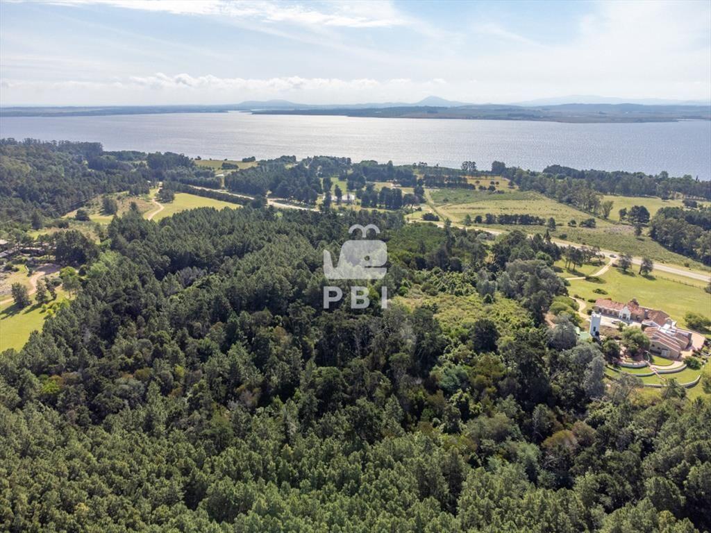Chacra en venta en Laguna del Sauce, Punta - Ref
