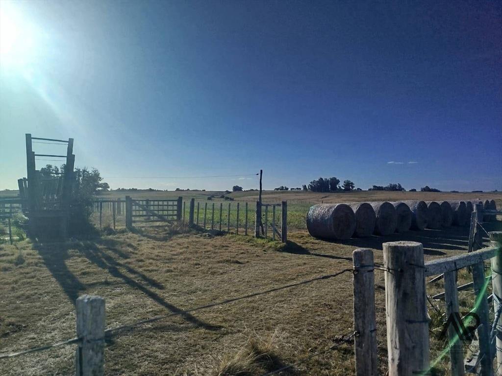 Chacra en venta de 21.5ha ubicado en San Carlos