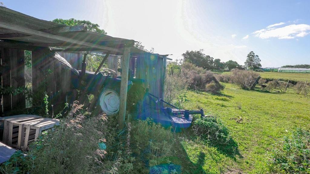 Chacra de 23 Ha en venta sobre Laguna del Sauce Punta del E
