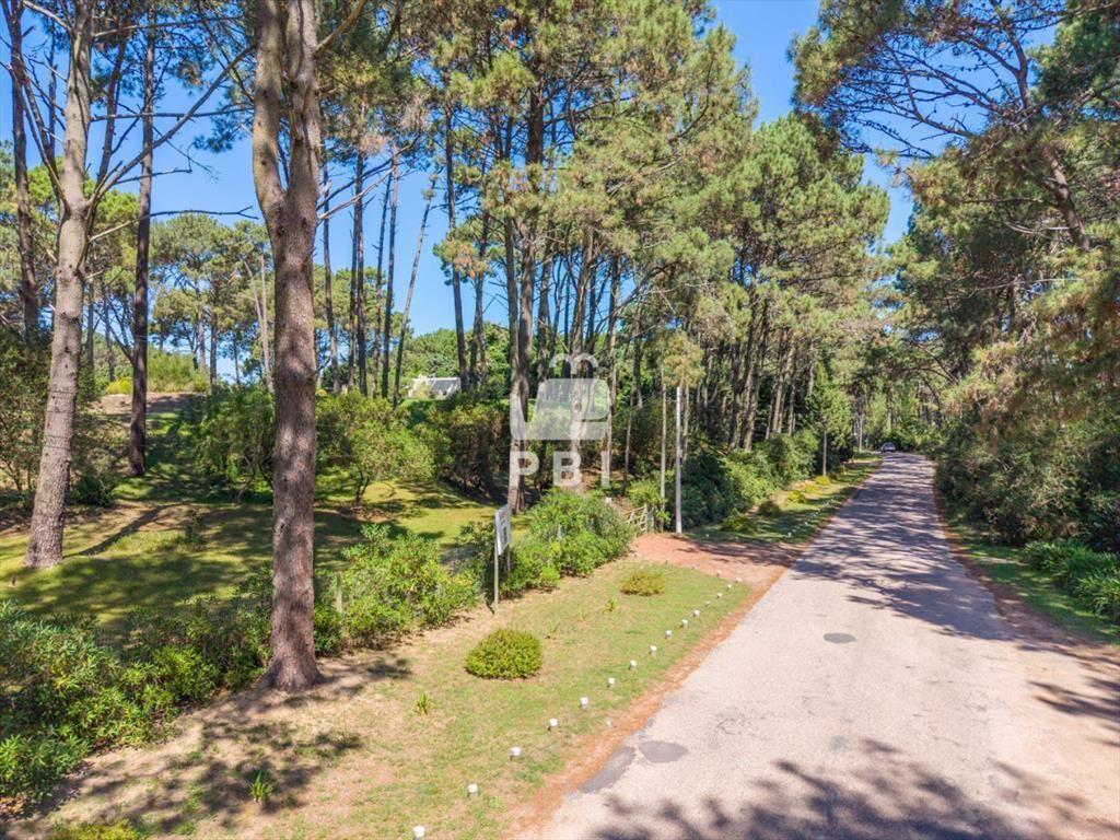 Terreno en venta en Club Del Lago, Punta Ballena