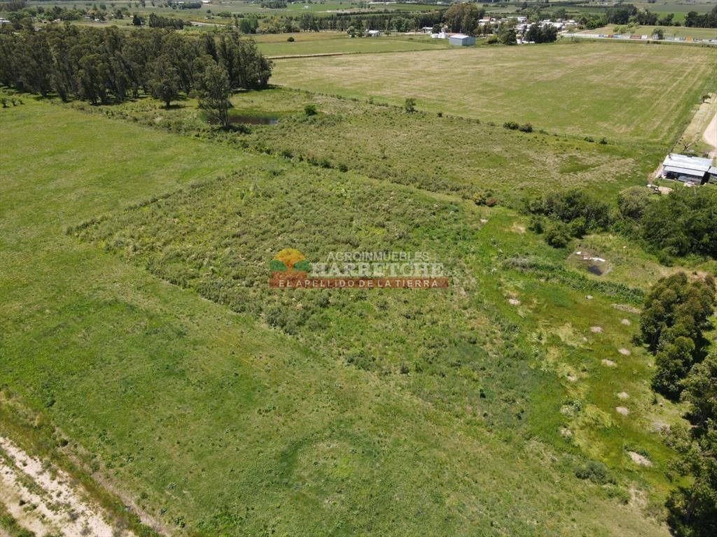 Terreno de 8000 m2 en Progreso, ideal