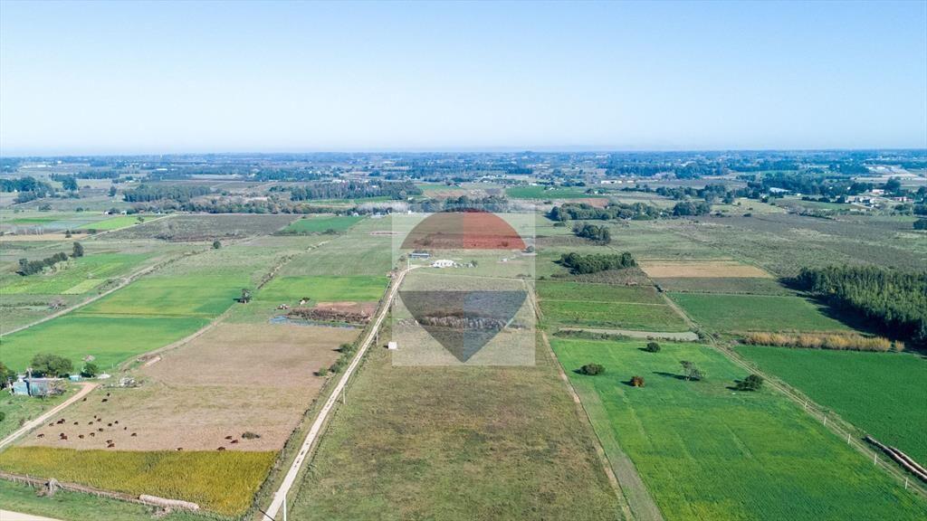 VENTA DE CAMPO 4 HECTAREAS CON TAJAMAR RUTA 75