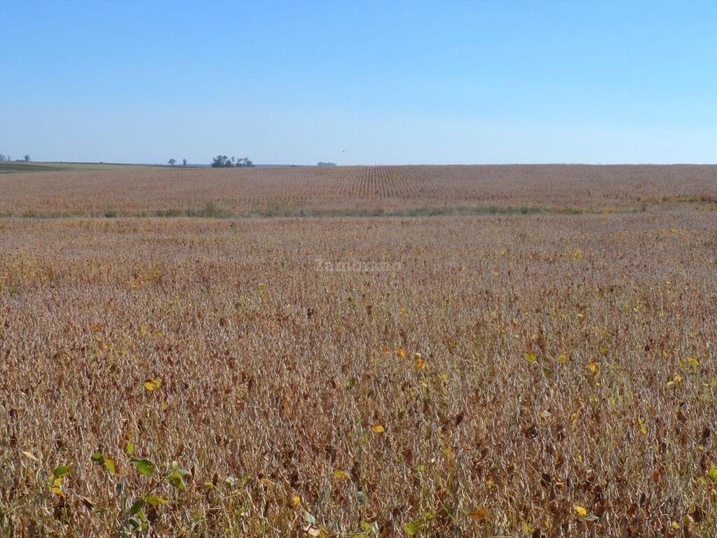 Estancia Agricola Ganadera 1600 ha en Paysandú
