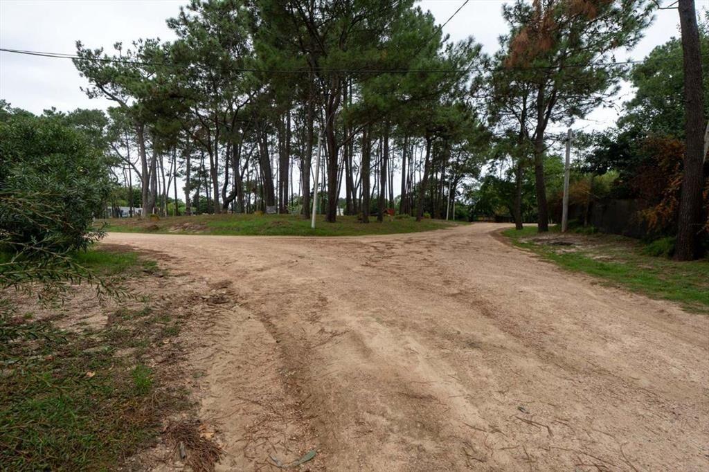 Venta terreno en El Pinar a metros Interbalnearia