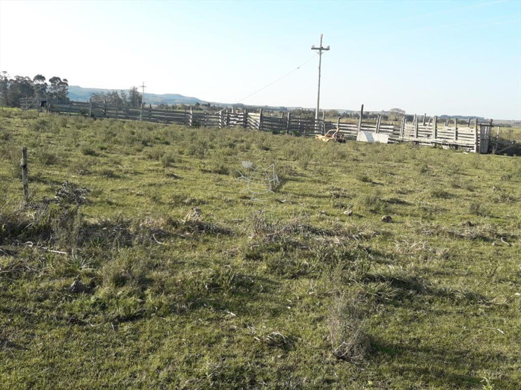 Campo de 66 has con 1991 m2 - En Corte la Leña -