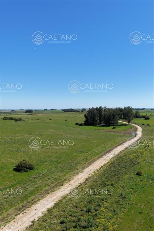 Chacras de 3 hectareas Ama Jose Ignacio , desde