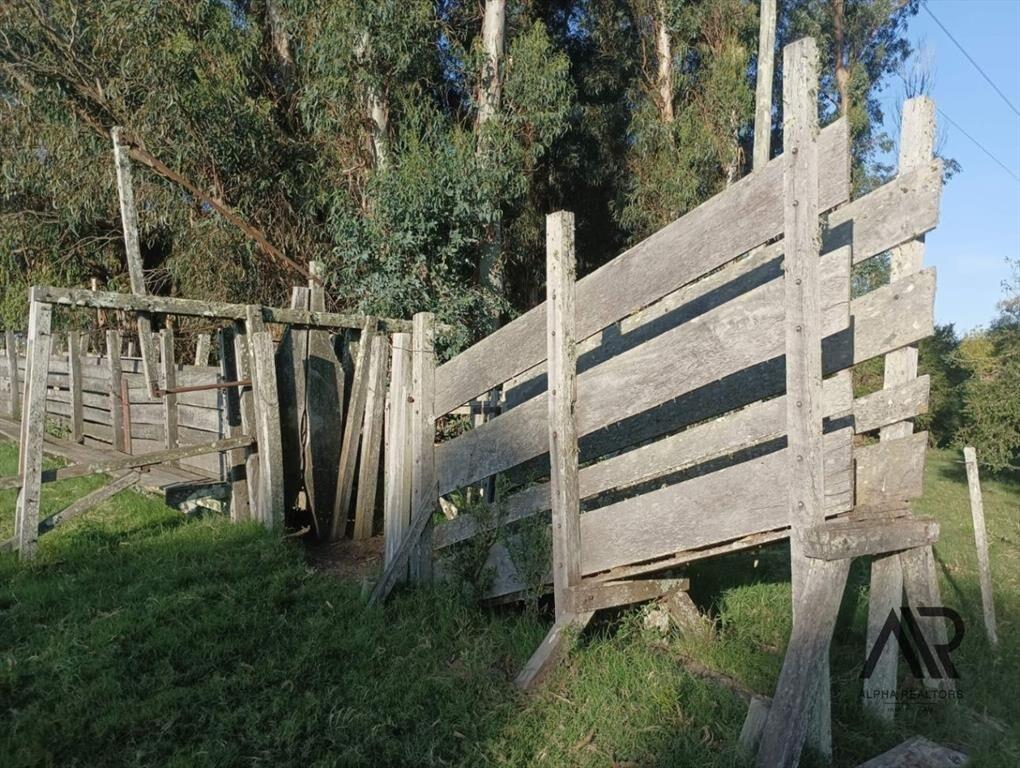 Venta Muy Buen Campo De 78 Hectáreas, Zona Muy Accesible...