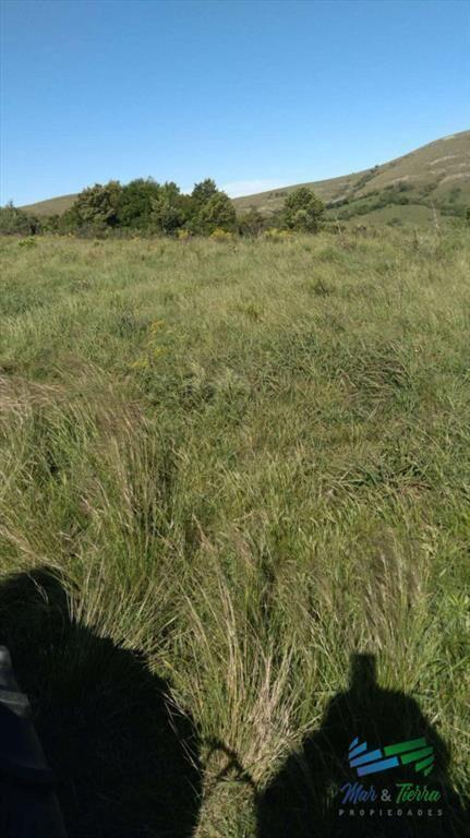 Linda fracción de campo ganadero con aptitud
