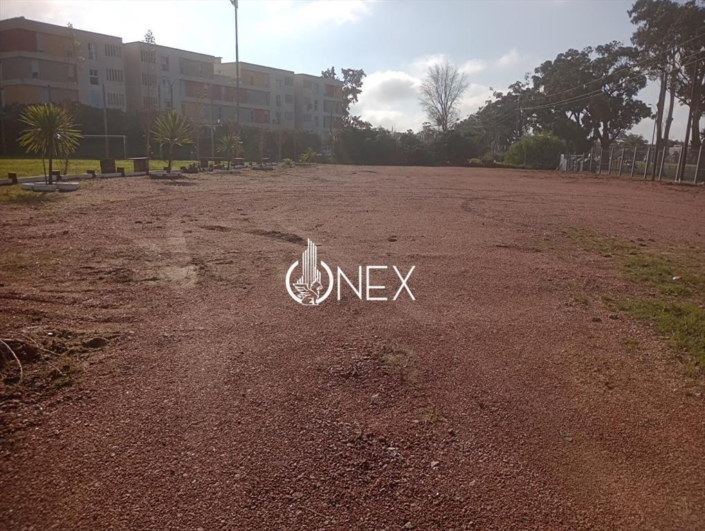 Alquiler de Terreno de 1000 M2 en Maldonado Ruta 39