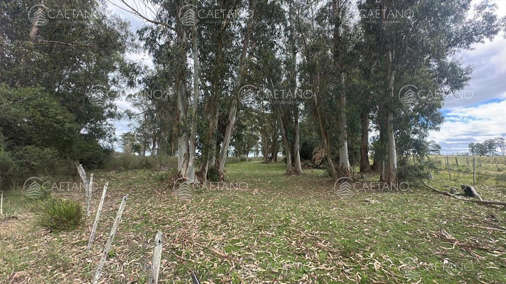 Venta chacra km 116 ruta 9. Cerca de Pan de