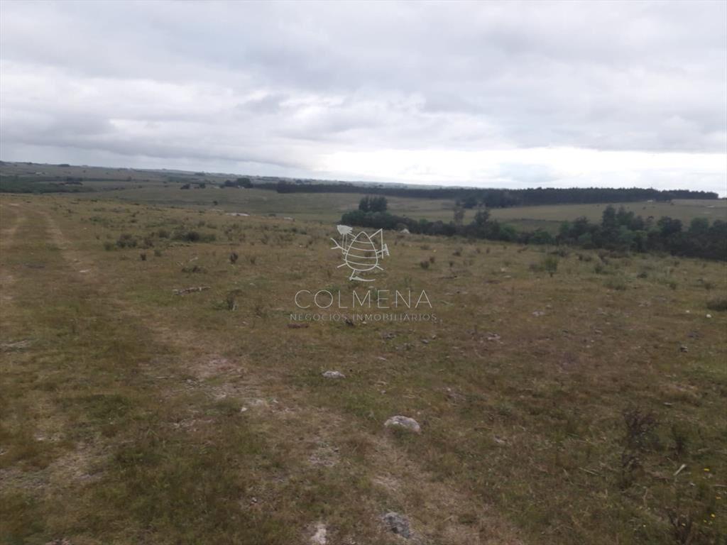 Campo de 47 has en Paraje los Caracoles - !!!!!