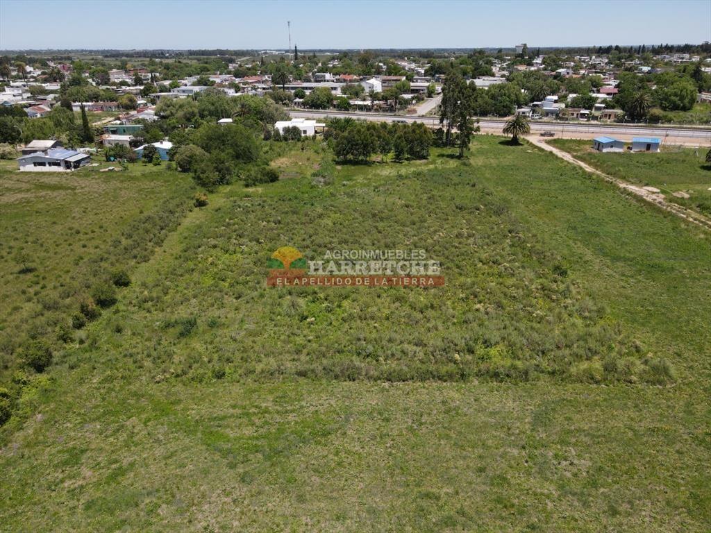 Terreno de 8000 m2 en Progreso, ideal
