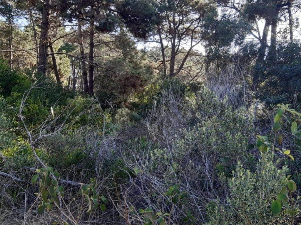 VENTA TERRENO ESQUINA en LA SERENA, La Paloma, ROCHA