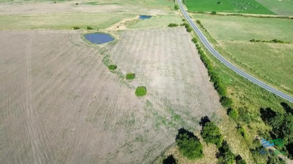 150 Has Campo Agrícola Ganadero a tan solo 10 de