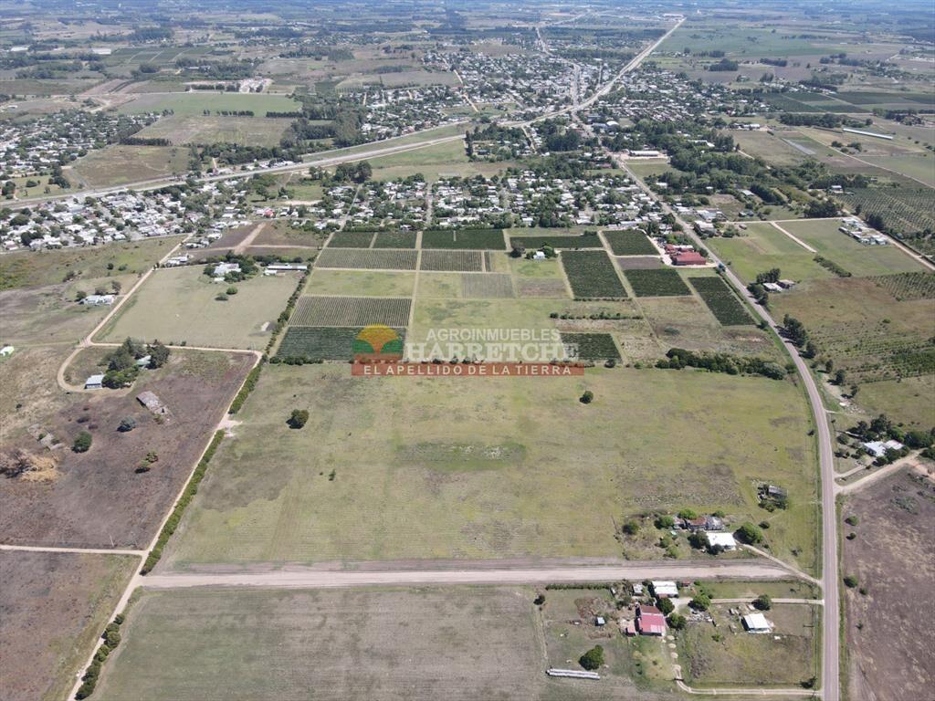 Terrenos en venta en Progreso, fraccionamiento de