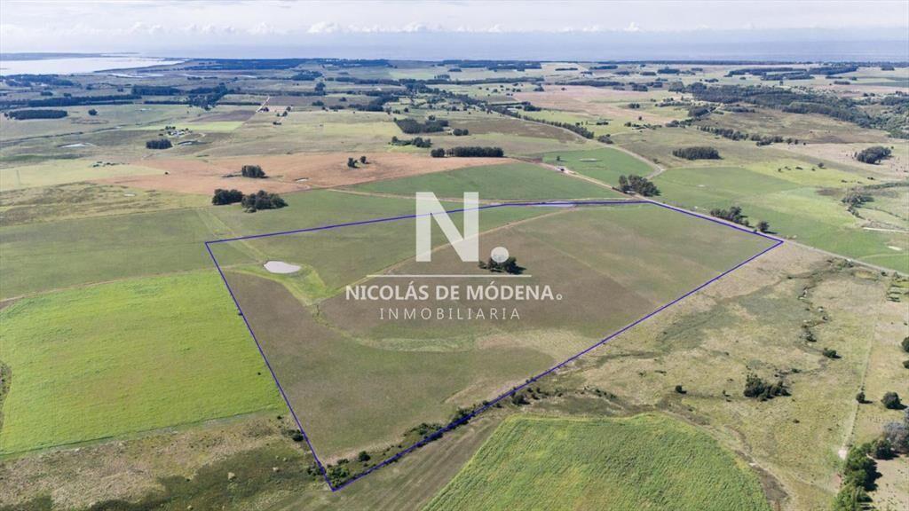 Campo de 42 Hectáreas con Alto Potencial de y -