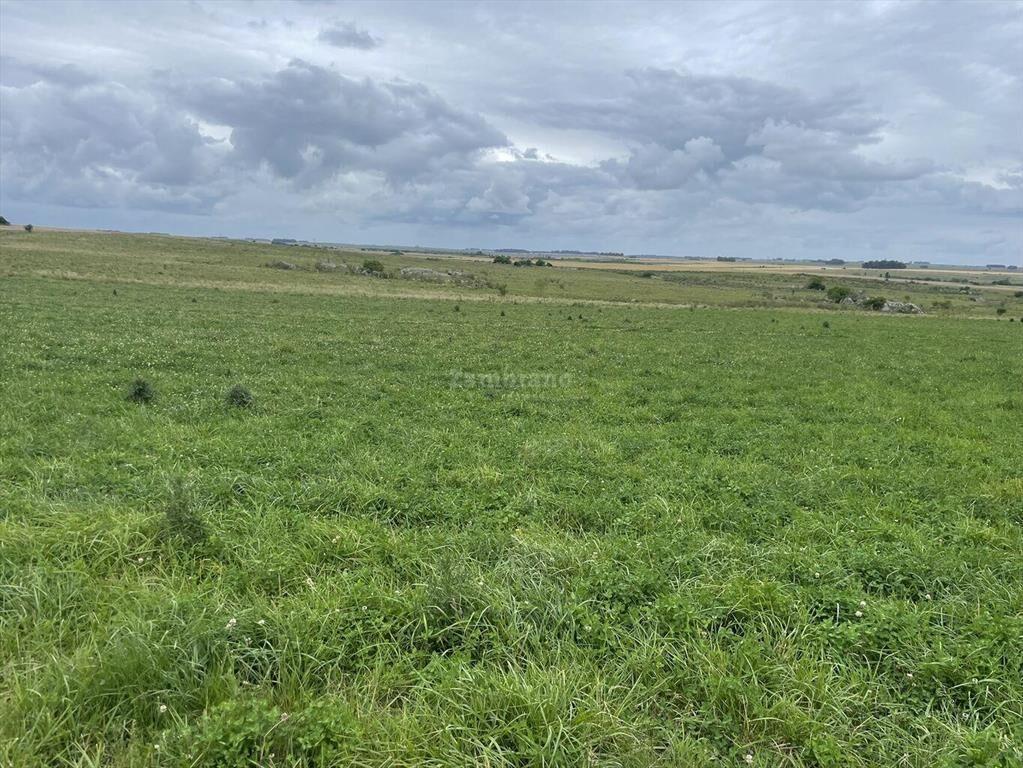 Estancia Agrícola Ganadera en Flores