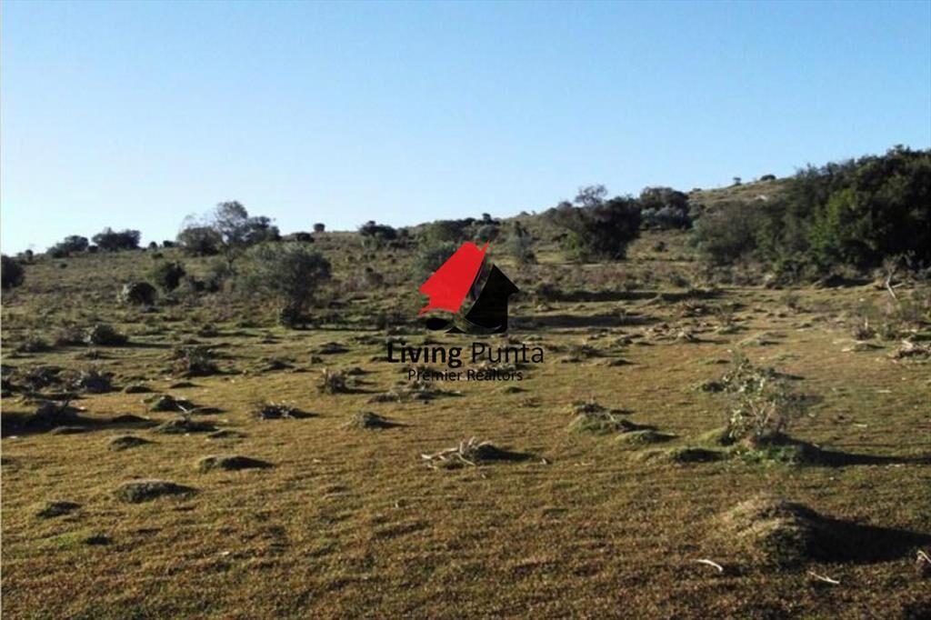 Muy buen campo 100% ganadero en ruta 12