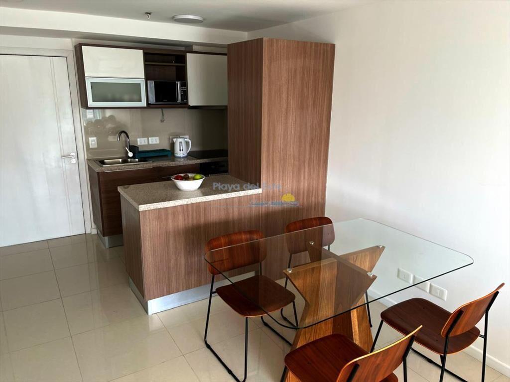 Apartamento de 1 dormitorio en alquiler temporal