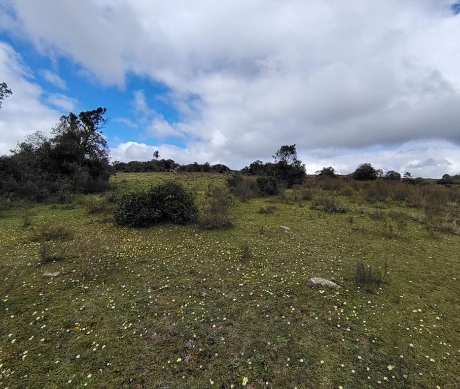 Chacra en Venta entre Ruta 12 y Ruta 60
