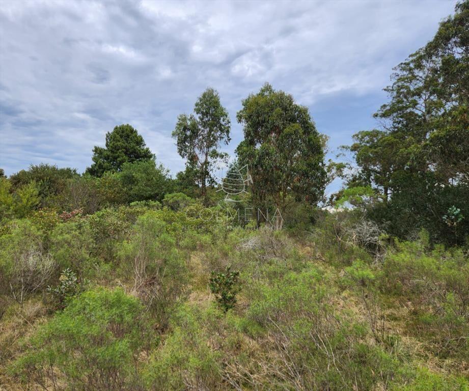 Venta chacra zona La Pataia, Punta Ballena