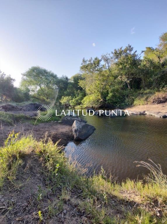 Chacra 11ha en Maldonado vende o permuta.